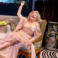 BWW Review: Renée Taylor in MY LIFE ON A DIET at GSP is Engaging and Entertaining Photo