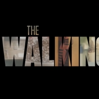 AMC's THE WALKING DEAD Final Season Begins August 22 Photo