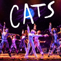 BWW Review: CATS at Shubert Theatre Photo