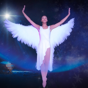 ​​​​​​​Black Girls Dance to Present MARY, A HOLIDAY DANSICAL in December