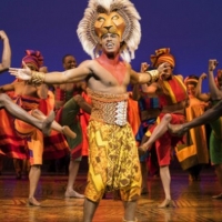 THE LION KING Cancels West End Performances Due to COVID-19 Photo