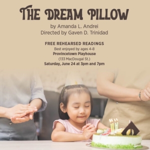 THE DREAM PILLOW to be Presented at New Plays For Young Audiences This Summer Photo