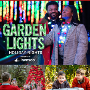 Atlanta Botanical Garden to Present Holiday Programming with GARDEN LIGHTS, HOLIDAY N Photo