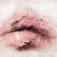 Body Politic Exhibition Opens 9/12 At NYU Kimmel Gallery Photo