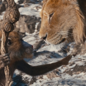 MUFASA: EL REY LEÓN llega a Disney + el 26 de marzo Photo