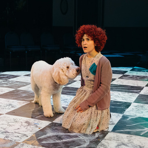 Review: ANNIE at Sarasota Players Photo