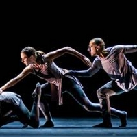 Carlsen Center Presents New Dance Partners Virtual Retrospective Photo