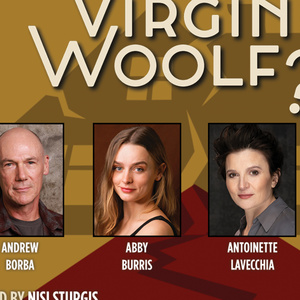 WHO'S AFRAID OF VIRGINIA WOOLF? to Open at Shakespeare Theatre of NJ Photo