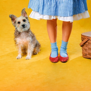 Interview: Jenny Lavery of THE WIZARD OF OZ at San Pedro Playhouse Interview