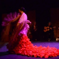 MONET'S MOON: A FLAMENCO CONCERT Comes to Teatro Paraguas Video