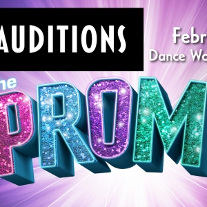 Birmingham Village Players Announces Auditions for THE PROM Photo