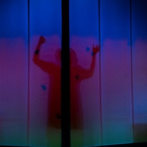 Review: THE APIARY at New Village Arts Photo