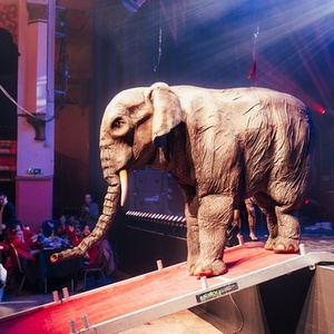 New Liverpool Olympia CIC Officially Launched At Special Opening Event Photo