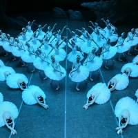 Shanghai Ballet And China Arts And Entertainment Group Ltd Present GRAND SWAN LAKE Video