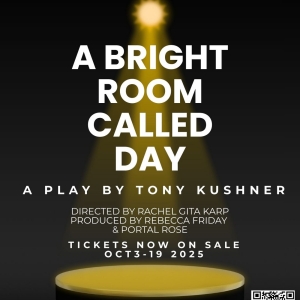 Tony Kushner's A BRIGHT ROOM CALLED DAY to be Presented at a Private Brownstone in Br Photo
