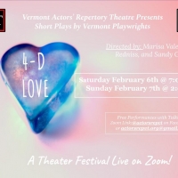 Vermont Actors' Repertory Theatre Presents A February 2021 Zoom Play Festival, 4-D LO Photo