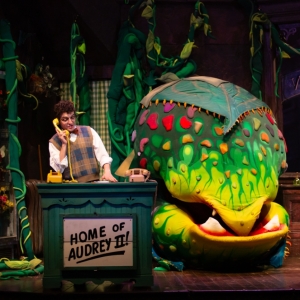 Review: LITTLE SHOP OF HORRORS at Bank Of America Performing Arts Center Photo