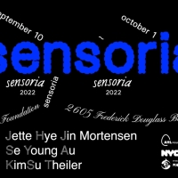 AHL Foundation Announces Opening Of SENSORIA, An Exhibition Of Adopted Korean Artists Photo