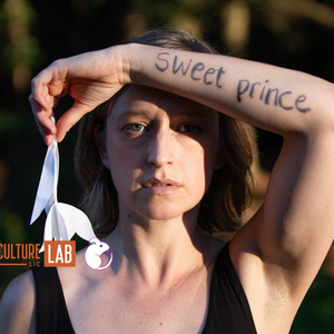 SWEET PRINCE Northeast Tour to Launch Fall 2026 with Boston, NYC Stops Photo