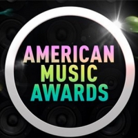 Find Out Who Won at the 2021 American Music Awards - All the Winners! Photo