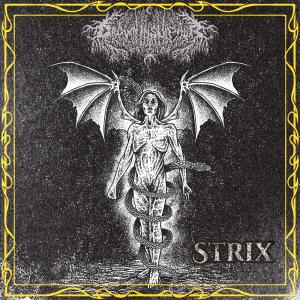 Drown In Sulphur Releases STRIX EP With Live Session Video Photo
