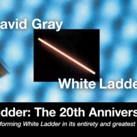 David Gray Announces 'White Ladder: The 20th Anniversary Tour' Photo