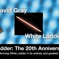 David Gray Announces 'White Ladder: The 20th Anniversary Tour'