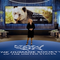 The Humane Society Of The United States Raises Over 2 Million Dollars At TO THE RESCU Photo