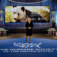 The Humane Society Of The United States Raises Over 2 Million Dollars At TO THE RESCU Video