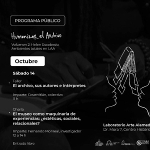 El Museo Como Maquinaria De Experiencias: ¿estéticas, Sociales, Relacionales?, Charla