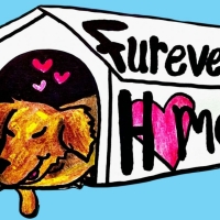 FUREVER HOME Comes to The Players Theatre Video