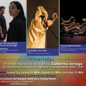 Participaron En La Segunda Sesión Las Obras Finalistas Del Premio Nacional De Danza  Photo