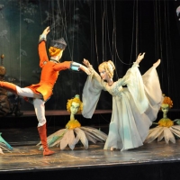 Celebrate The Holidays At Flushing Town Hall With THE NUTCRACKER By The Acclaimed Sal Photo