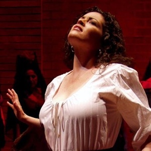 CARMEN to Be Performed This Sunday by FSCJ Artist Series Photo