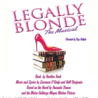 Brundage Park Playhouse to Present LEGALLY BLONDE: THE MUSICAL Photo