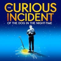 BWW Review: THE CURIOUS INCIDENT OF THE DOG IN THE NIGHT-TIME at USF - Jeschke Fine A Photo