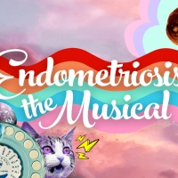 Review: ENDOMETRIOSIS: THE MUSICAL at Theatre In The Round Photo
