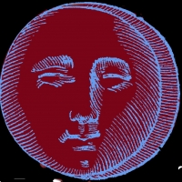 VOTE THE NEW MOON, By Alfred Kreymburg Indicts The System At Metropolitan Virtual Pla Video