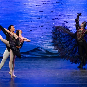 Review: SWAN LAKE at Century II Concert Hall Photo