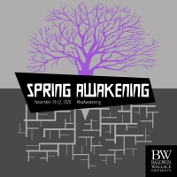 BWW Blog: Marketing SPRING AWAKENING Worldwide