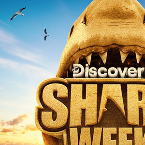 SHARK WEEK Delivers Discovery Channel's Best Ratings in Seven Years Photo