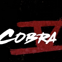 VIDEO: Season 5 Premiere Date and Trailer Released for COBRA KAI Video
