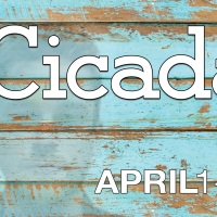 BWW Review: CICADA at Theatre Memphis Video