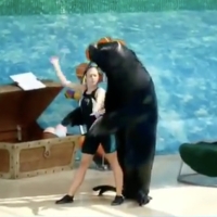VIDEO: Sea Lion and Trainer Dance to 'Cell Block Tango' from CHICAGO Video