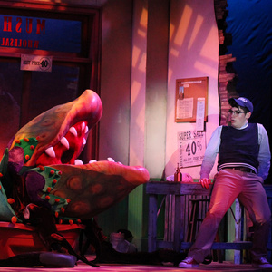 Review: LITTLE SHOP OF HORROR at Dutch Apple Dinner Theatre Photo