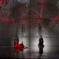 Preview/Interview: To FRAU or Not to FRAU in 2021? Stemme's the Met's Dyer's Wife, wi Interview