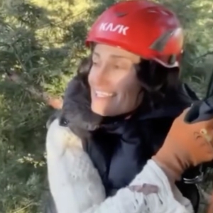 Video: Idina Menzel Performs From REDWOOD Atop a Real Redwood Tree Photo