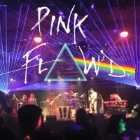 Pink Flaw'd Presents 11th Annual Thanksgiving Celebration Photo