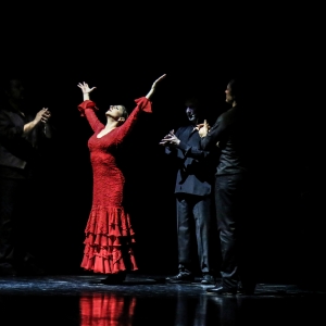 Omayra Amaya Flamenco Dance Company Will Perform ANTES DEL FIN Photo