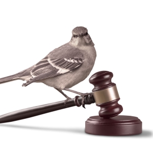 TO KILL A MOCKINGBIRD Will Play at Cone Man Running Productions This July Photo